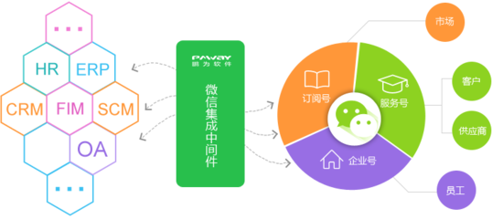 整合企业运营 从数据库管理到定制软件应用的全方位解决方案